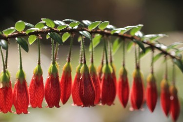 东莞莞城3私人快速借钱网，轻松解决资金难题
