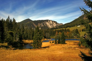 东莞莞城3民间私贷攻略：揭秘低成本借贷的秘密