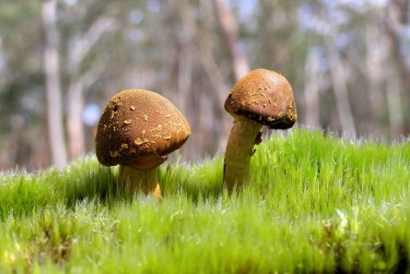 东莞莞城3私人老板放款：轻松融资的秘密通道